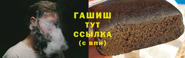 молекула духа Вяземский