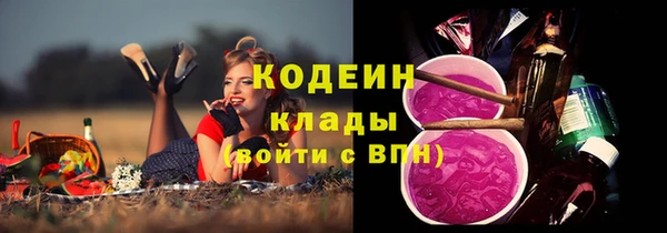 молекула духа Вяземский
