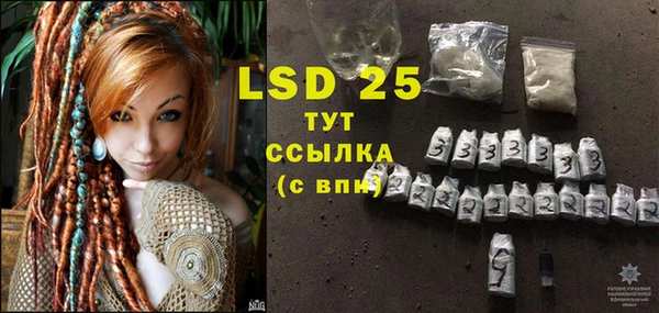 молекула духа Вяземский