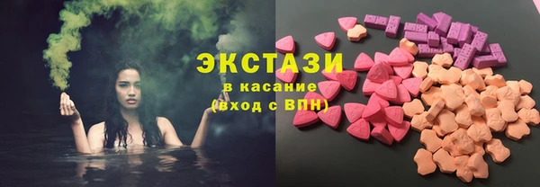 молекула духа Вяземский