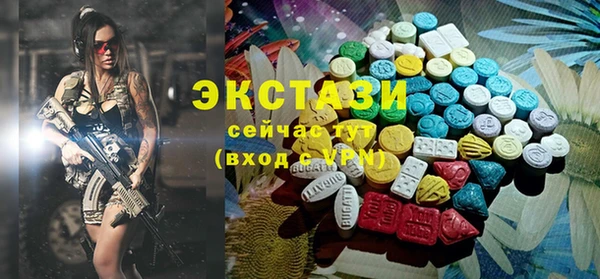 молекула духа Вяземский
