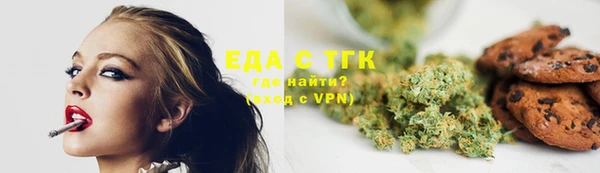 молекула духа Вяземский