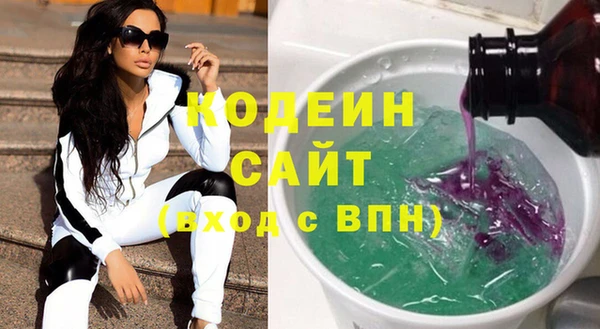 молекула духа Вяземский