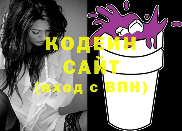 молекула духа Вяземский
