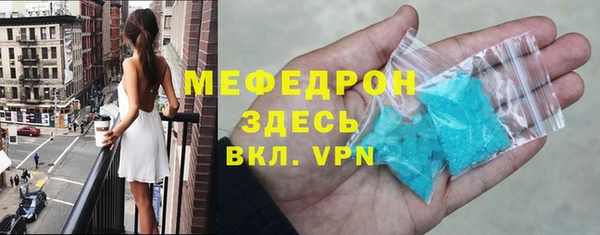 молекула духа Вяземский