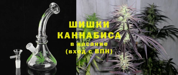 молекула духа Вяземский