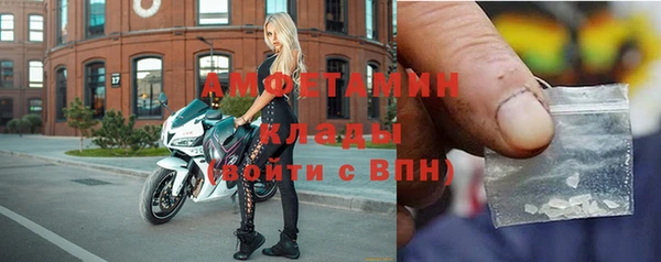 молекула духа Вяземский