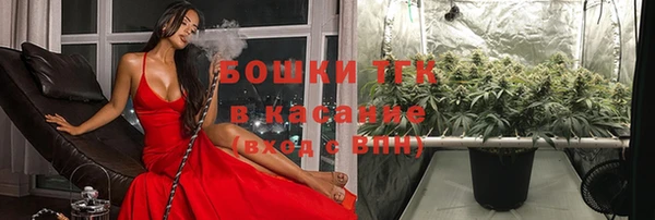 молекула духа Вяземский