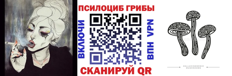 Псилоцибиновые грибы Psilocybe Нижний Ломов