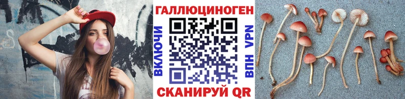 Псилоцибиновые грибы прущие грибы Купить Нижний Ломов
